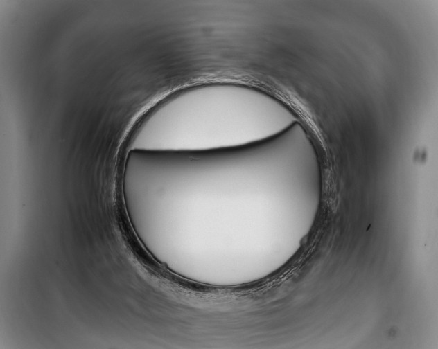 X0000100350012200806060810