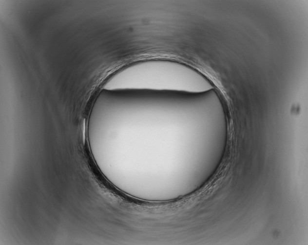 X0000100350013200806060810