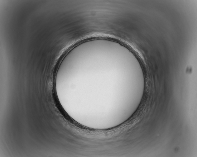 X0000100350015200806060810