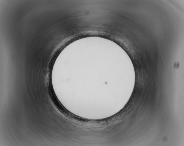 X0000100350016200806060810