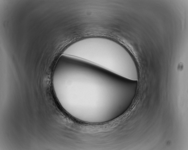 X0000100350017200806060810