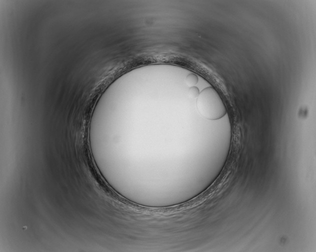 X0000100350018200806060810