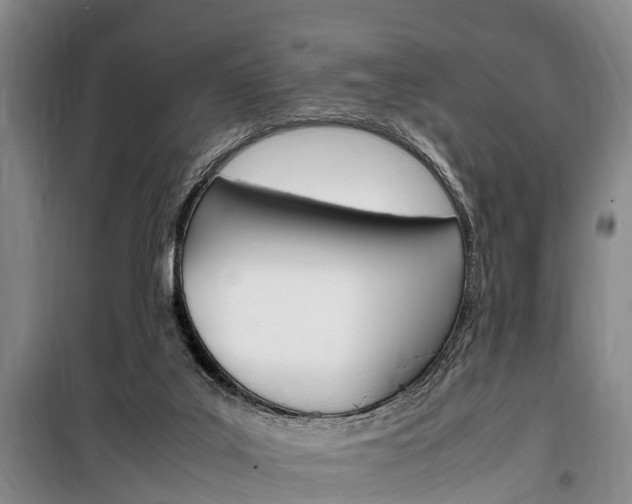 X0000100350019200806060810