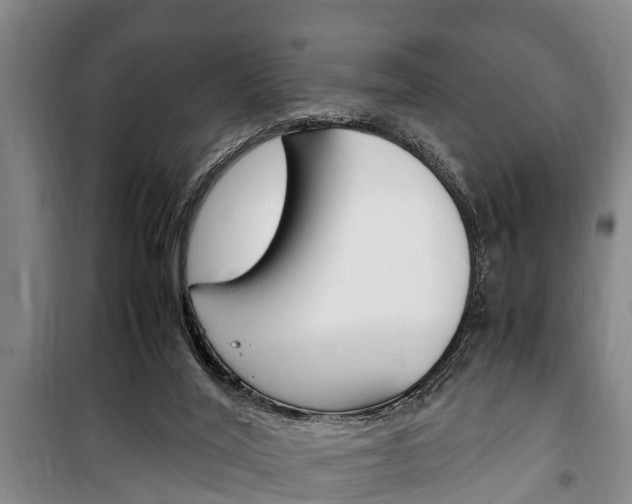 X0000100350020200806060810