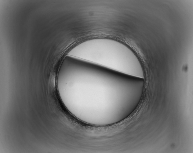 X0000100350021200806060810