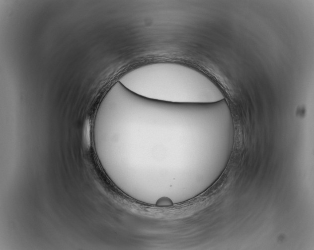 X0000100350022200806060810