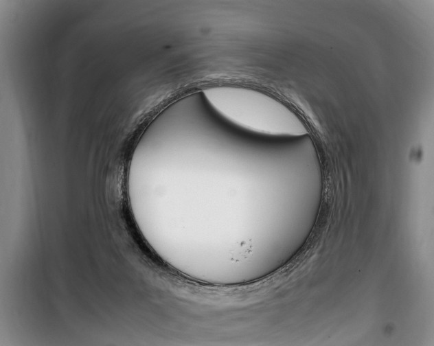X0000100350023200806060810