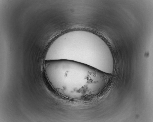 X0000100350024200806060810