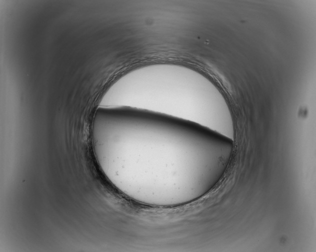 X0000100350025200806060810