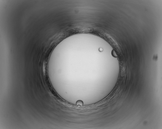 X0000100350026200806060810