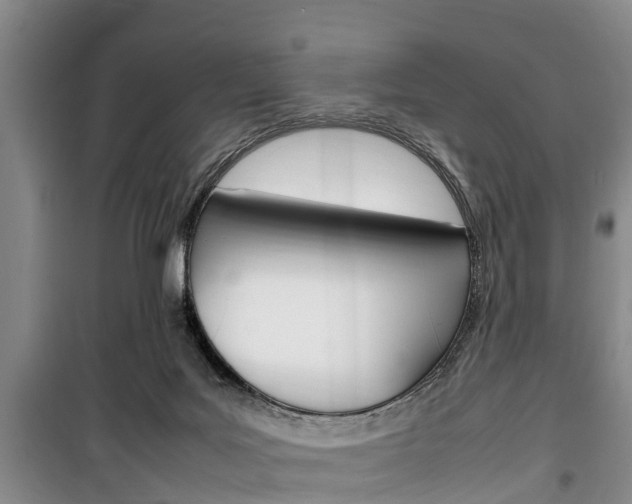X0000100350027200806060810