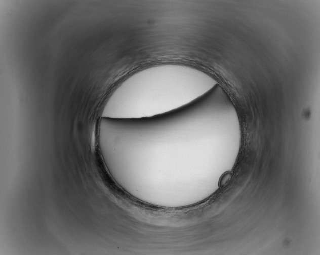 X0000100350028200806060810