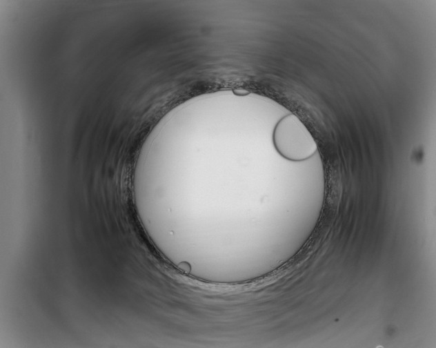 X0000100350034200806060810