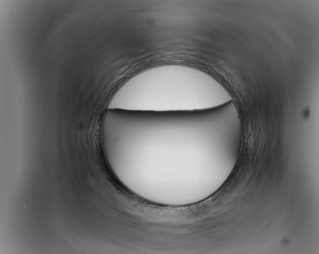 X0000100350036200806060810