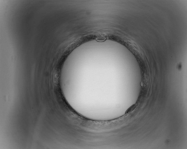 X0000100350037200806060810