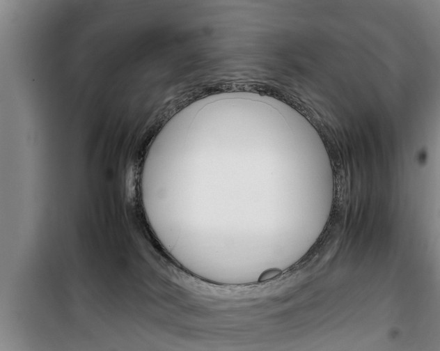 X0000100350038200806060810