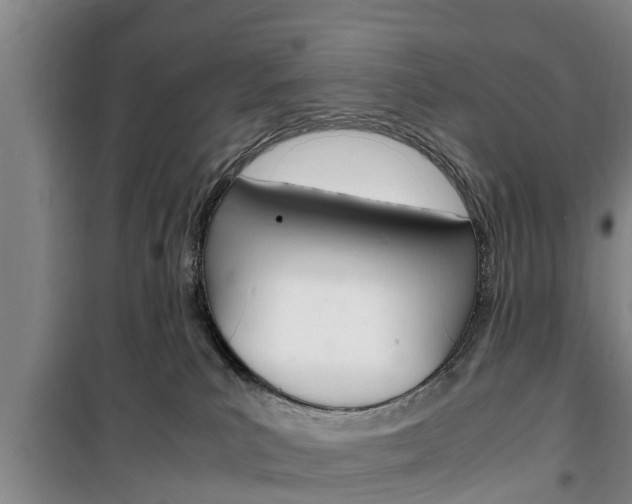 X0000100350039200806060810