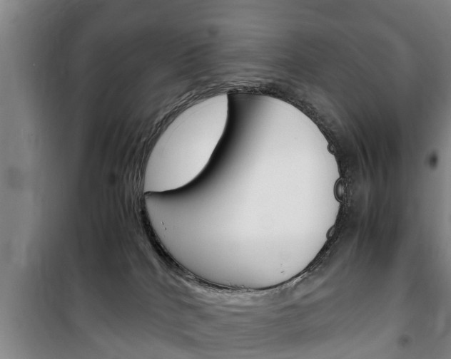 X0000100350040200806060810