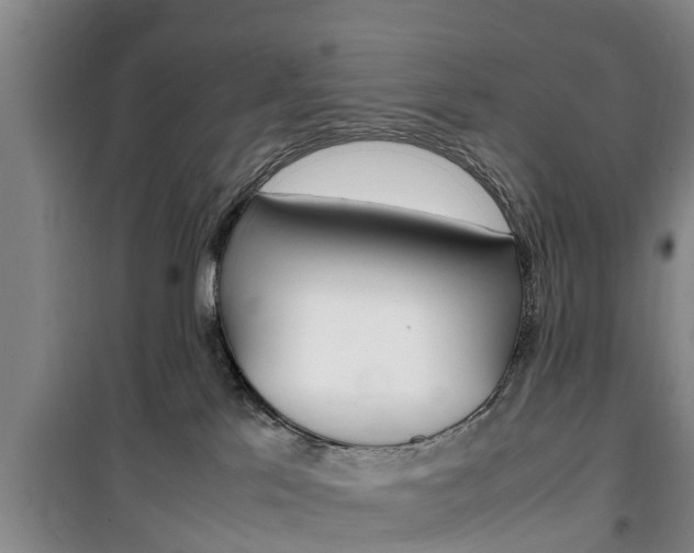 X0000100350041200806060810