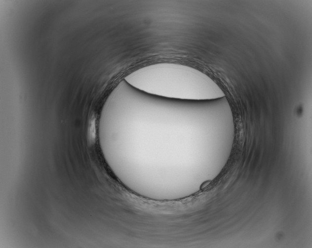 X0000100350042200806060810