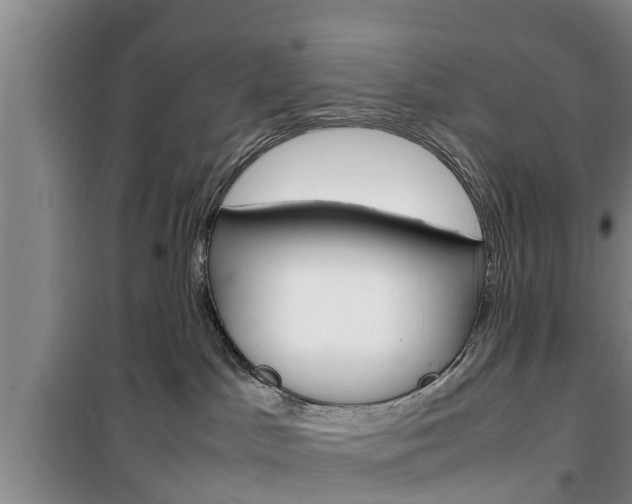 X0000100350045200806060810