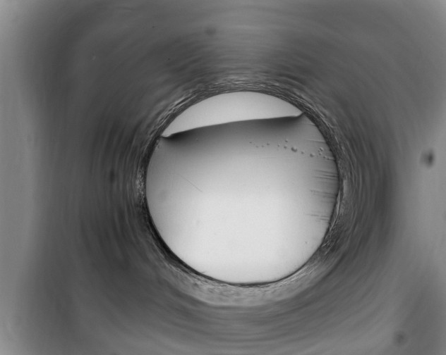 X0000100350048200806060810