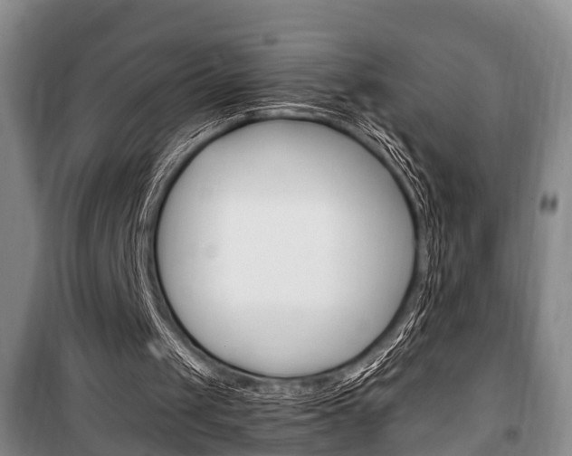 X0000100350049200806060809