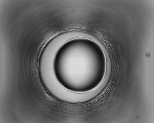 X0000100350050200806060809