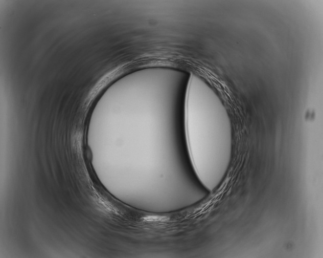 X0000100350051200806060809