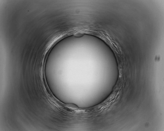 X0000100350052200806060809