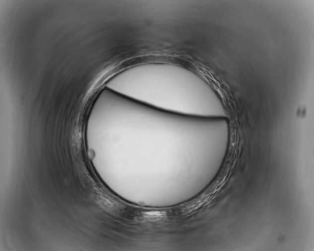 X0000100350053200806060809