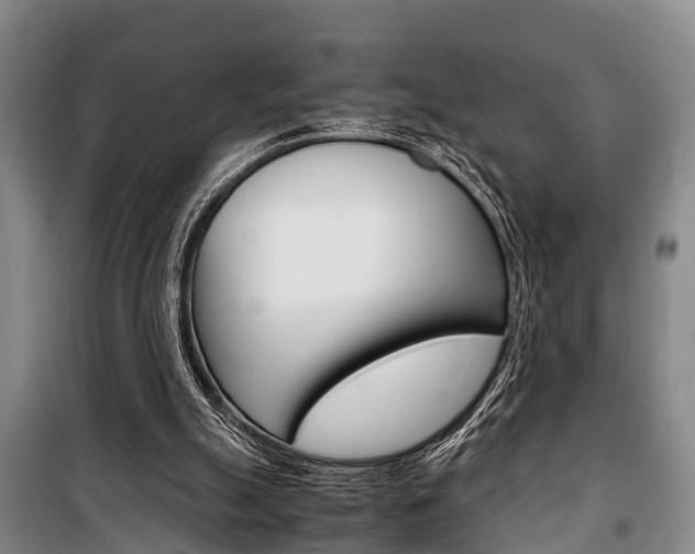X0000100350055200806060809