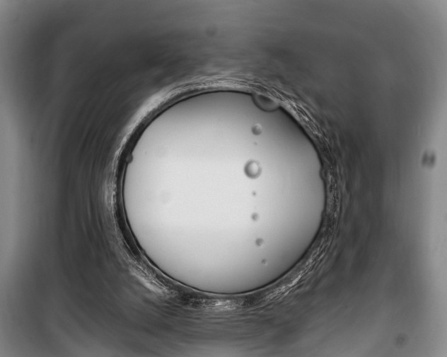 X0000100350056200806060809