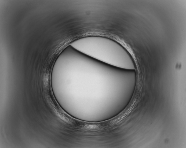 X0000100350057200806060809