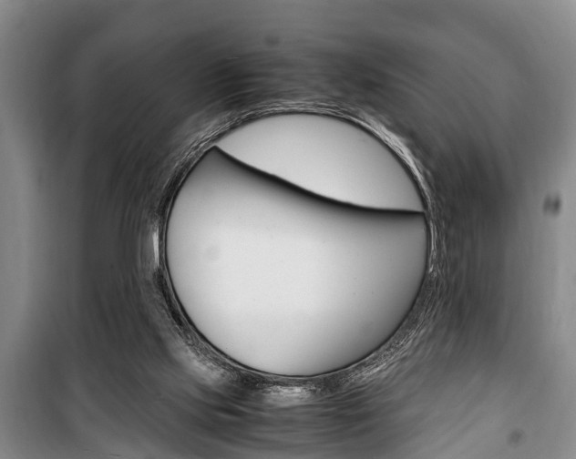 X0000100350061200806060809