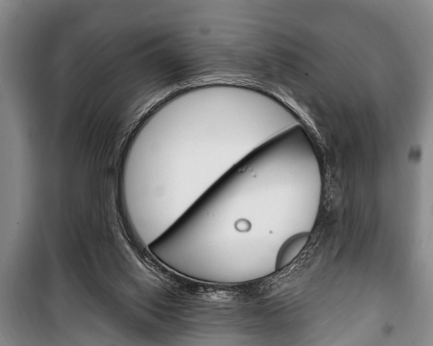 X0000100350062200806060809