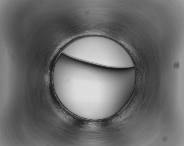 X0000100350064200806060809