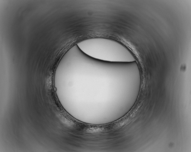 X0000100350065200806060809
