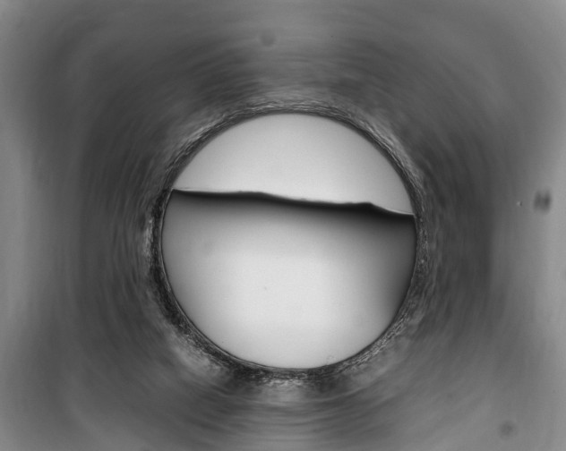 X0000100350066200806060809