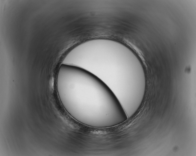 X0000100350067200806060809