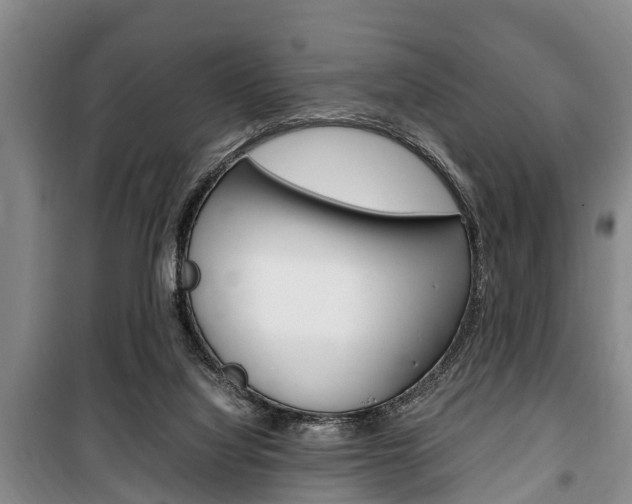 X0000100350068200806060809