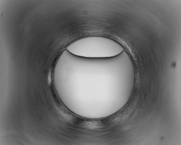 X0000100350069200806060809