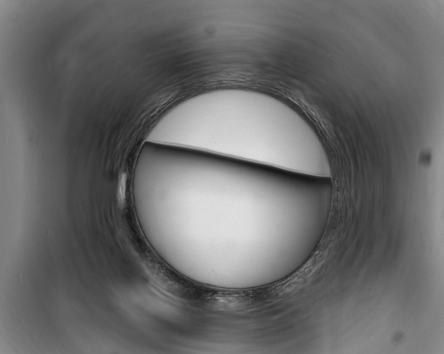 X0000100350070200806060809