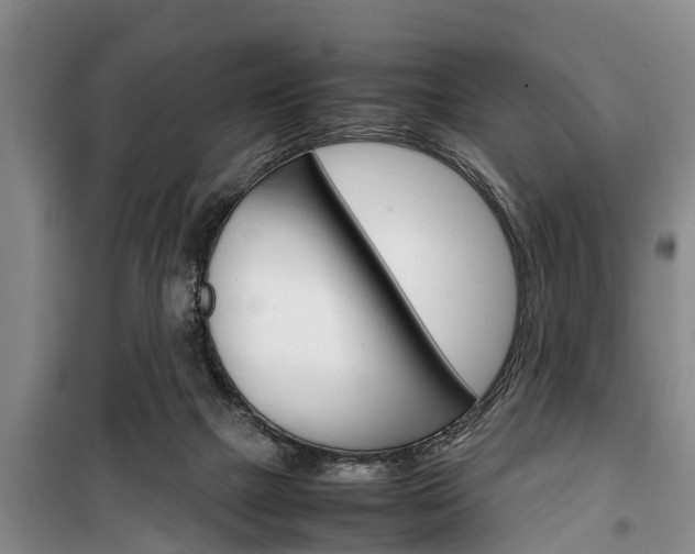 X0000100350073200806060809
