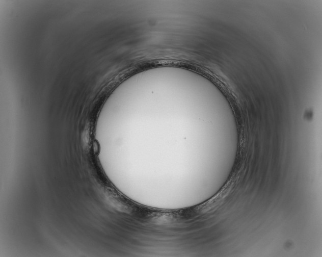 X0000100350074200806060809