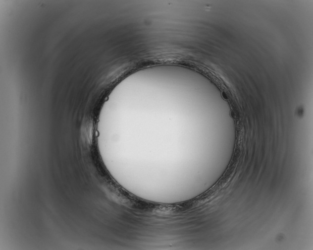 X0000100350076200806060809