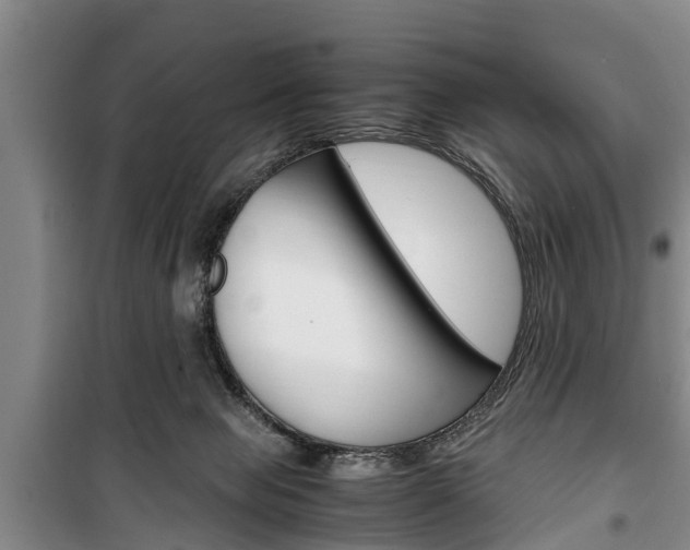 X0000100350077200806060809