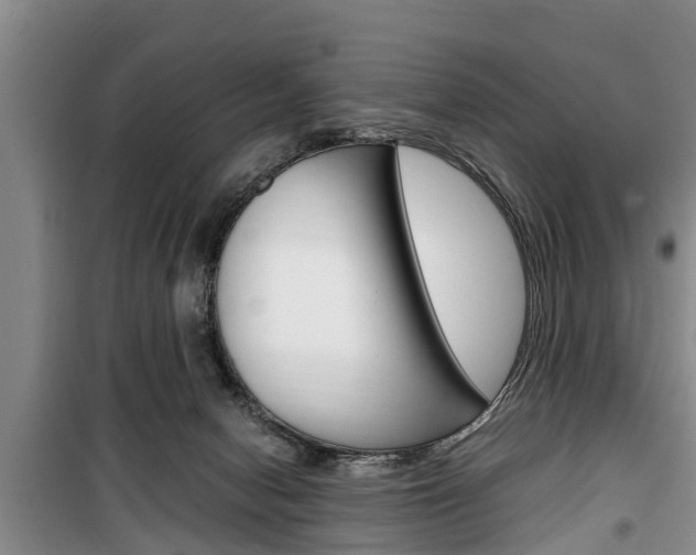 X0000100350078200806060809