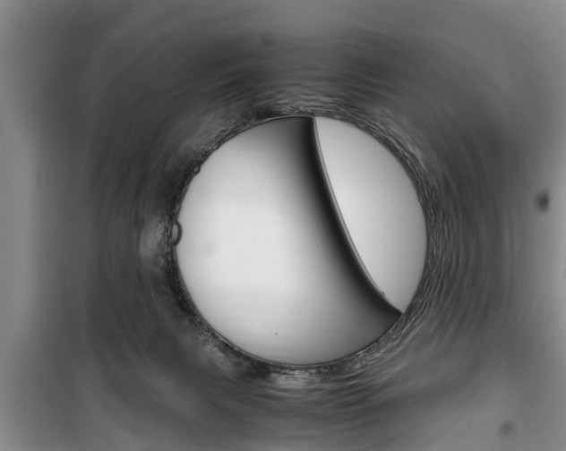 X0000100350079200806060809