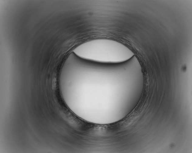 X0000100350080200806060810